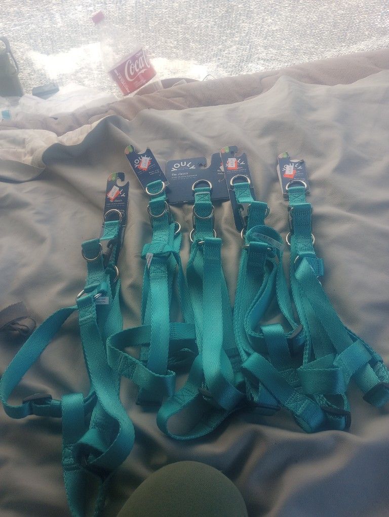 Dog Harness