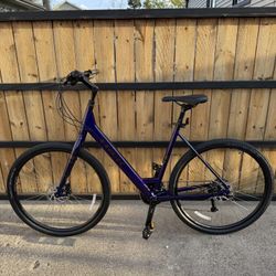 Trek Verve 3 Disc Lowstep BRAND NEW