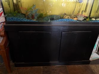 75 gallon tank