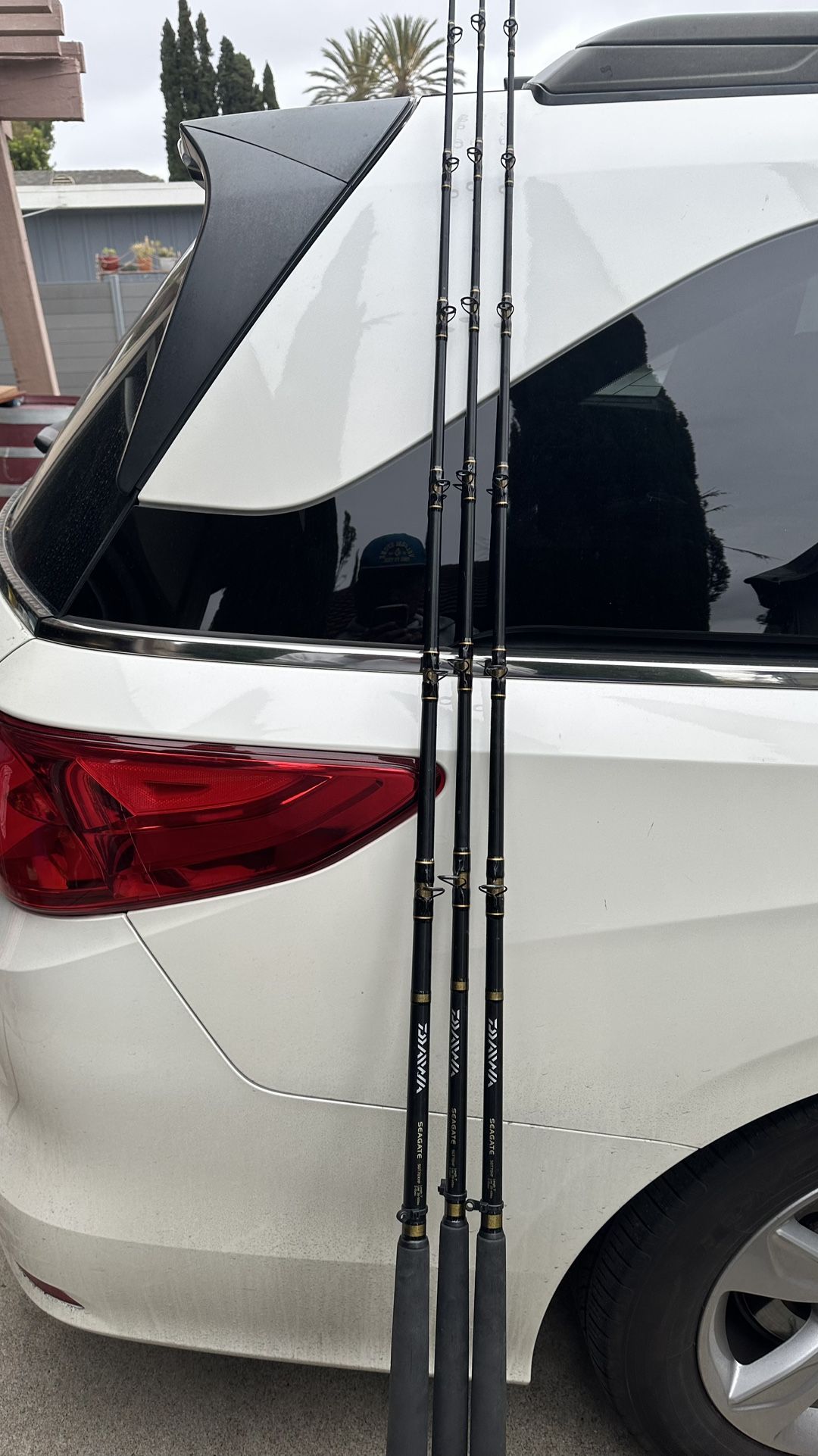 fishing rods