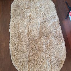Beautiful Tan Rug