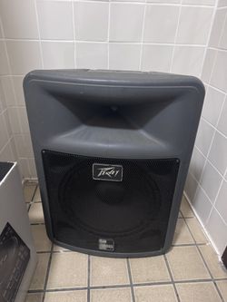 Peavey PR 15