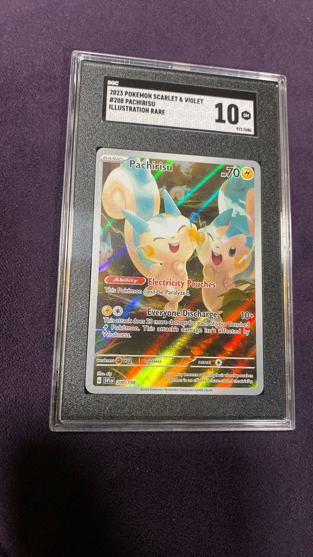 Pachirisu Illustration Rare IR sv1 Scarlet Violet SGC 10