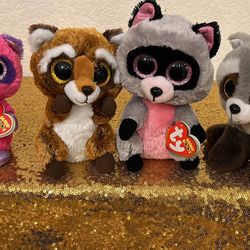 Raccoon Beanie Boos Bundle