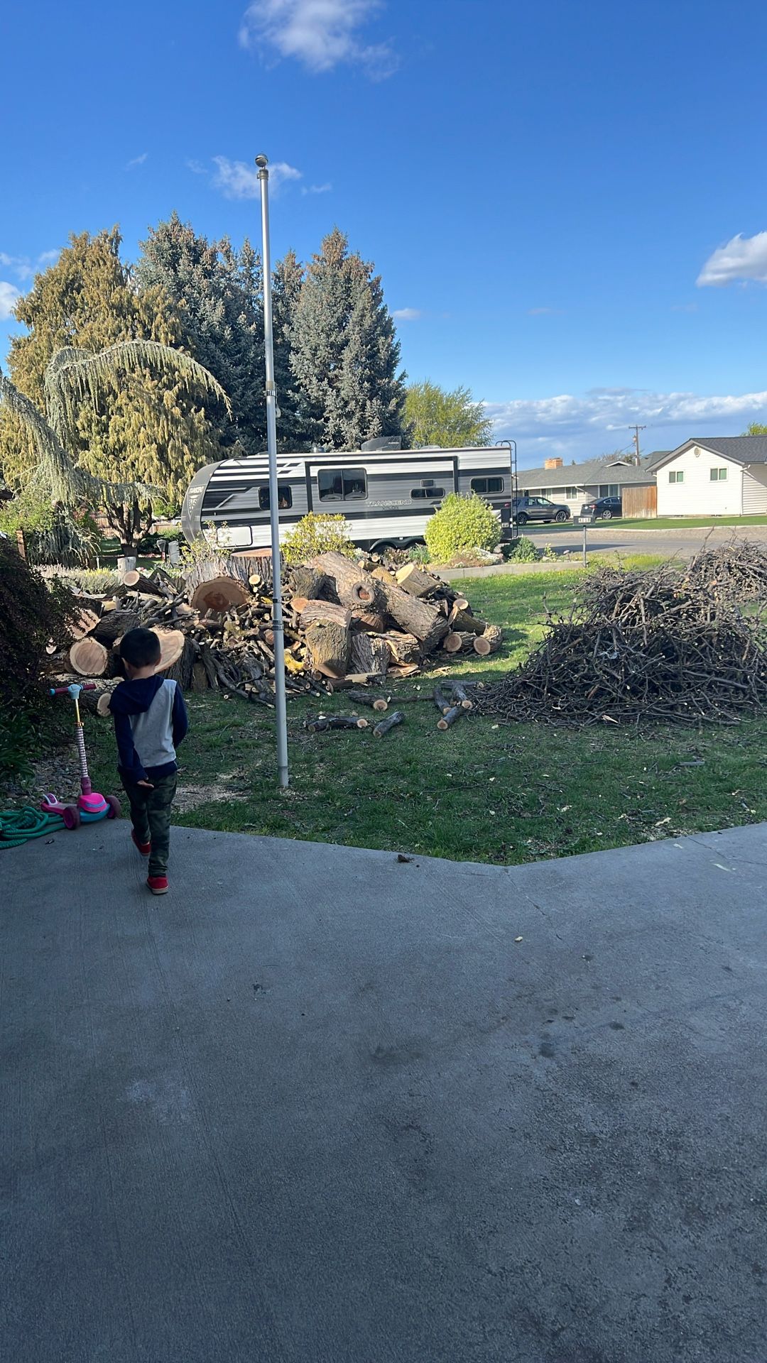 Wood (free)