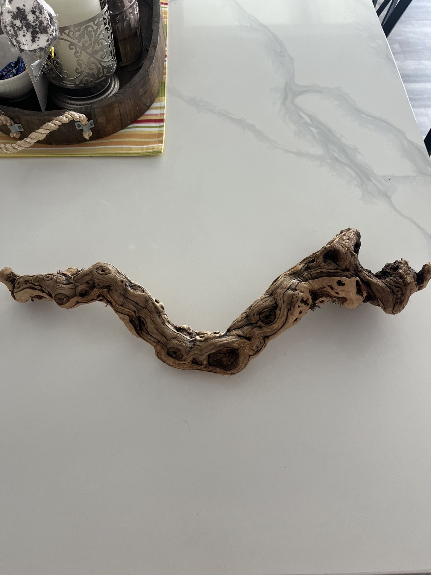 Decorative Log- Plants/Reptile