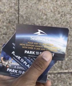 SeaWorld Orlando Tickets + All Day Dinning passes