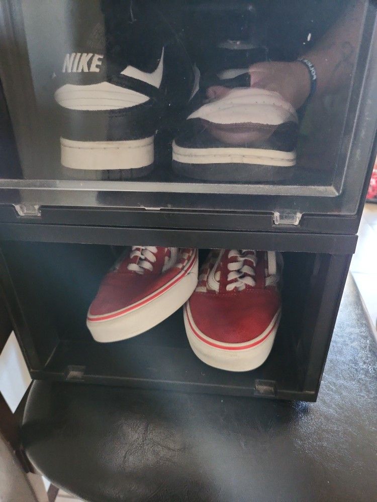 Panda And Vans
