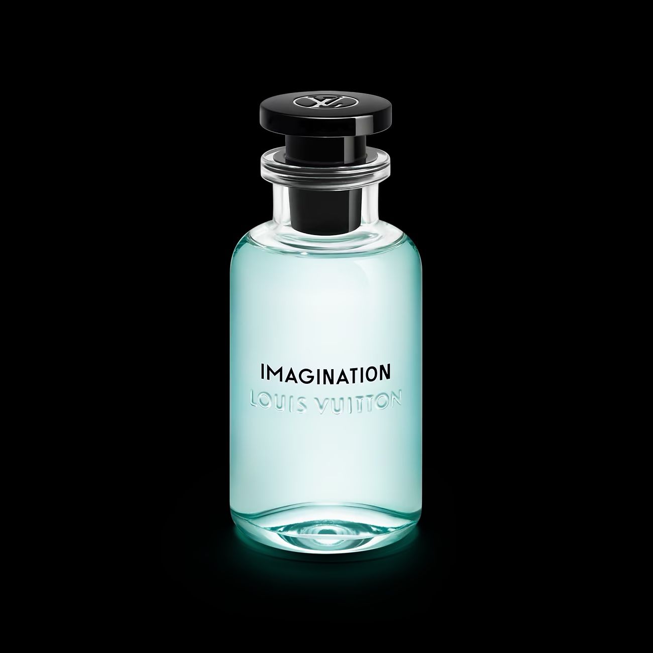 Louis Vuitton imagination