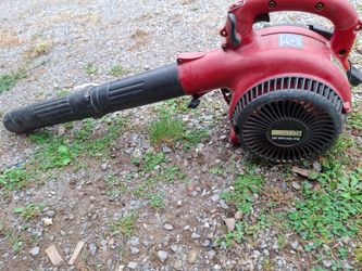 Leaf blower and weedeater