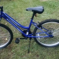 Road Master 24 Inch  Bike Great Condition Good Brakes And Tires 