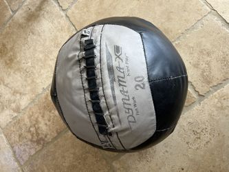 Dynamax Wall Ball 20#