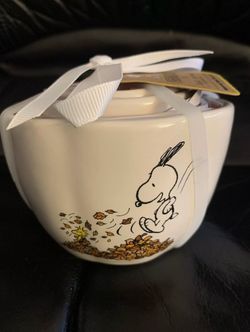 Peanuts Snoopy Charlie Brown set of 4 Ceramic Fall Thanksgiving Measuring Cups