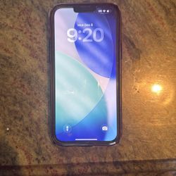 iPhone 13 Pro Max 256 Gb