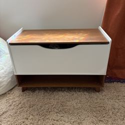 Toy Chest/ Organizer