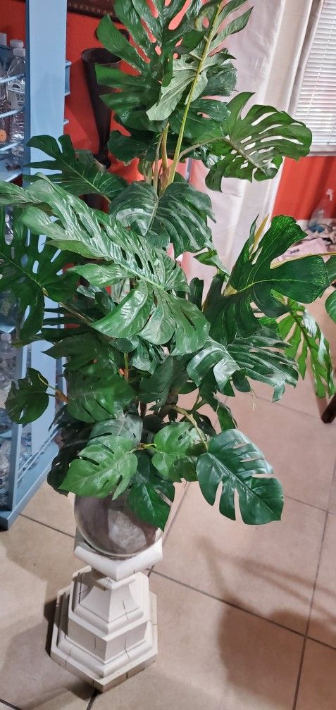 Fake Plant $45.00