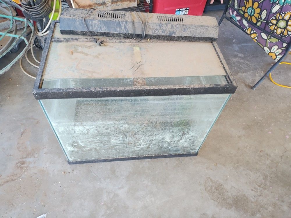 70g aquarium with decorations, no filter