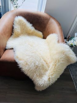 Sheep, Skin