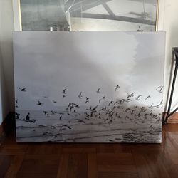 Art Work- Birds On Canvas 