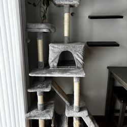 cat tower