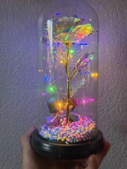 Couple rose LED lamp