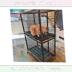 Pet Cages in Multiple Sizes to Fit Any Pet writer phone