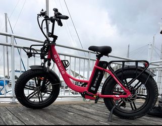 E bike