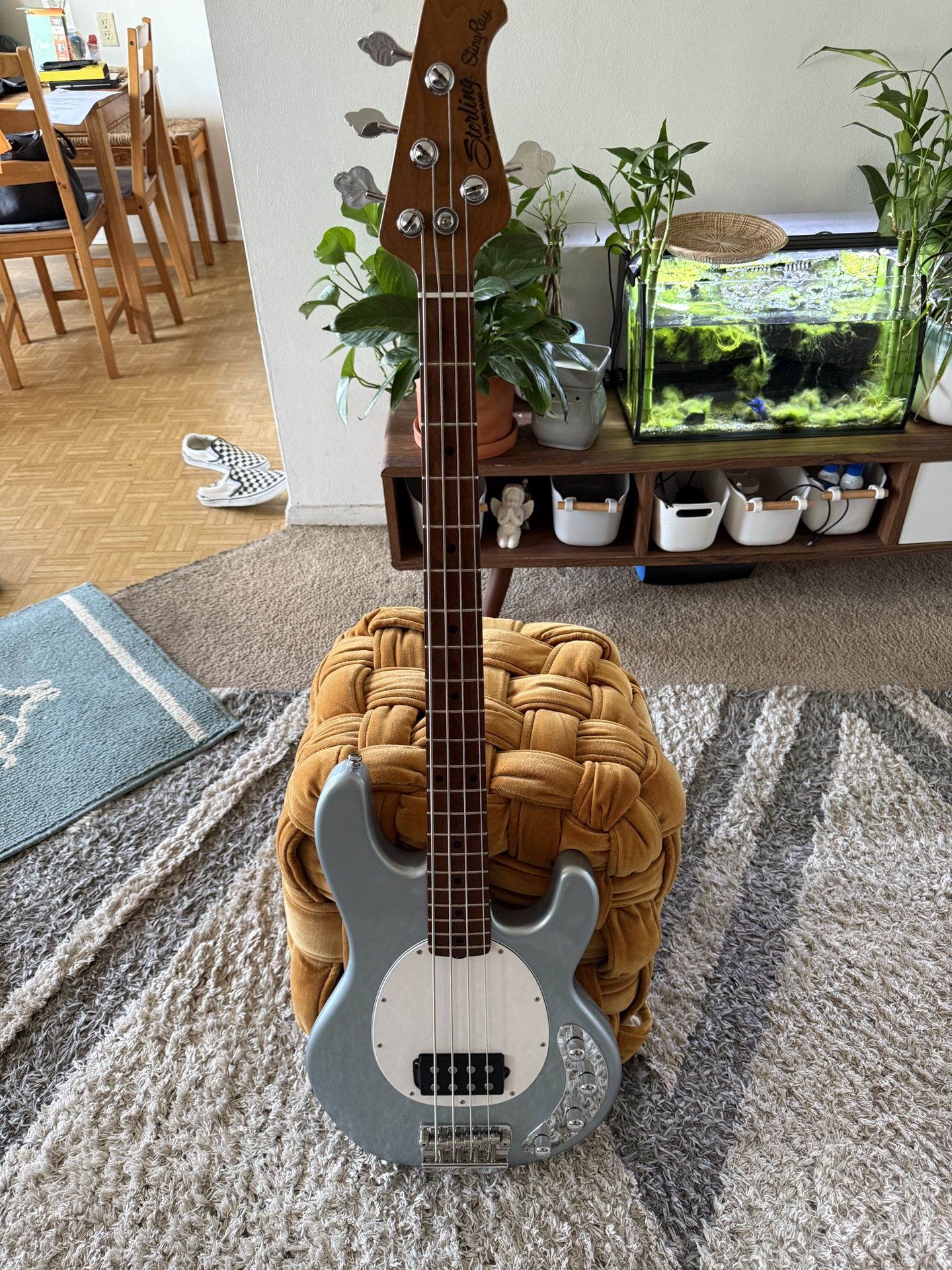 Sterling Stingray Ray34