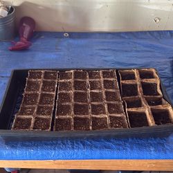 Free seedling trays w/dirt