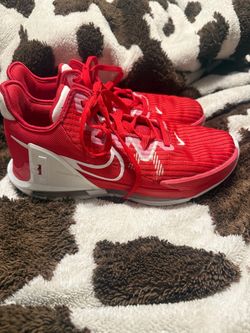 Nike LeBron Witness 8s