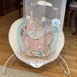 Baby Bouncer 