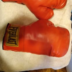 authentic Everlast boxing gloves, sparring gloves, 16 oz great shape, $29