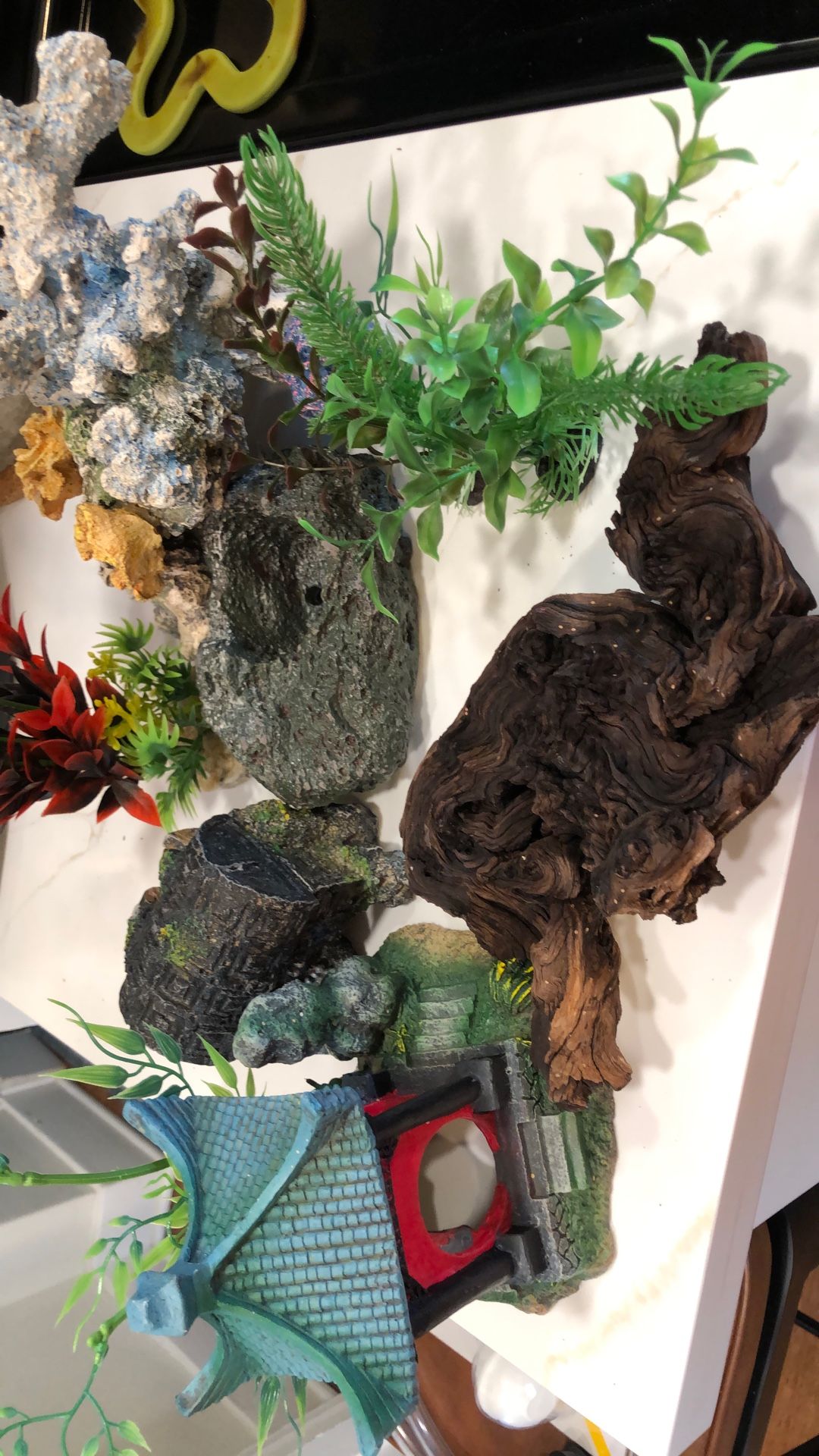 Aquarium decor