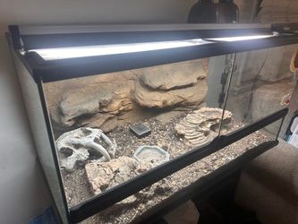 Double Door Glass Terrarium