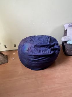 Chill Sack Bean Bag Chair 5' Memory Foam Bean Bag