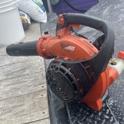 Echo Blower