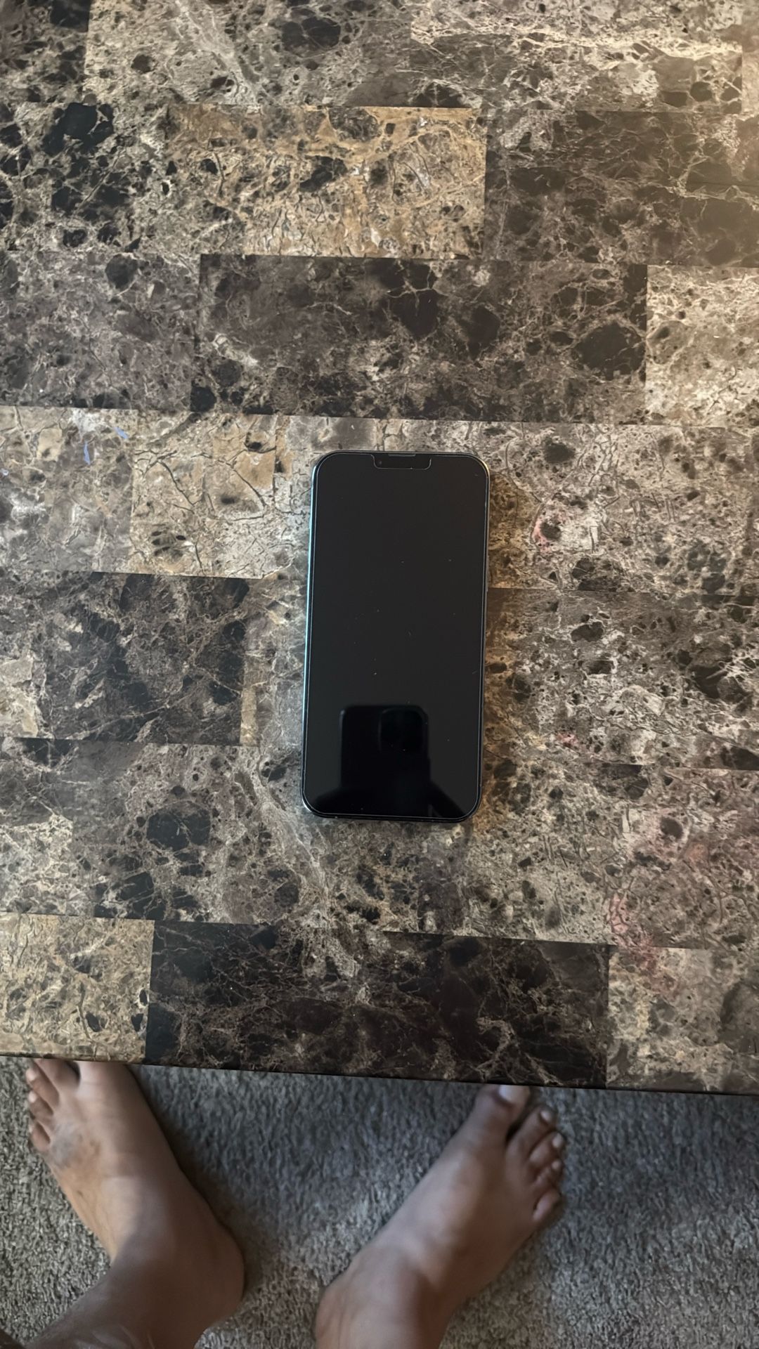 iPhone 13 Pro Max - Sierra Blue - 256 GB - Like New - Factory Unlocked