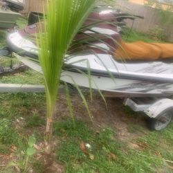 Yamaha Waverunner Xl Parts Ski (TRAILER NOT INC)