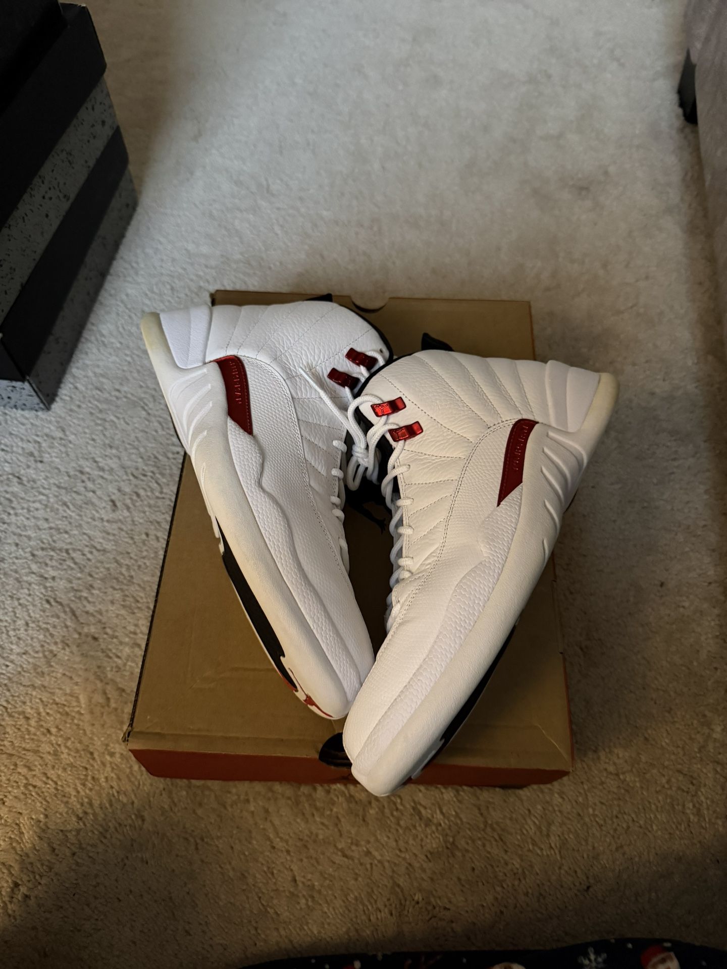 Jordan 12 Twist 11M