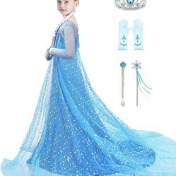 Elsa Costume 2y-3y