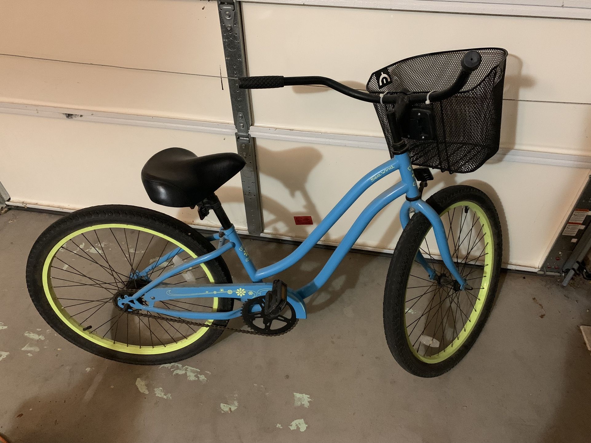 Teenage Girls Cruiser