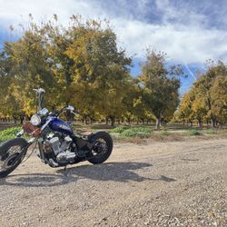 2003 Honda Shadow VLX 600 Bobber – Clean Custom Build