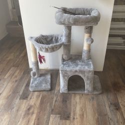 Cat House