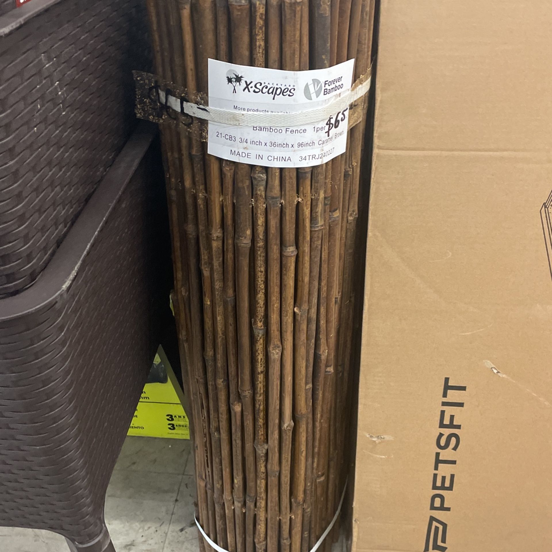 Bamboo Fence