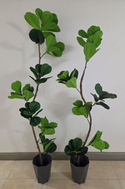 PAIR of Faux Fiddle Leaf Fig Trees in 11in (Tall) Gray Hexagonal Planters (2 for $120) @ Lasting Creations
