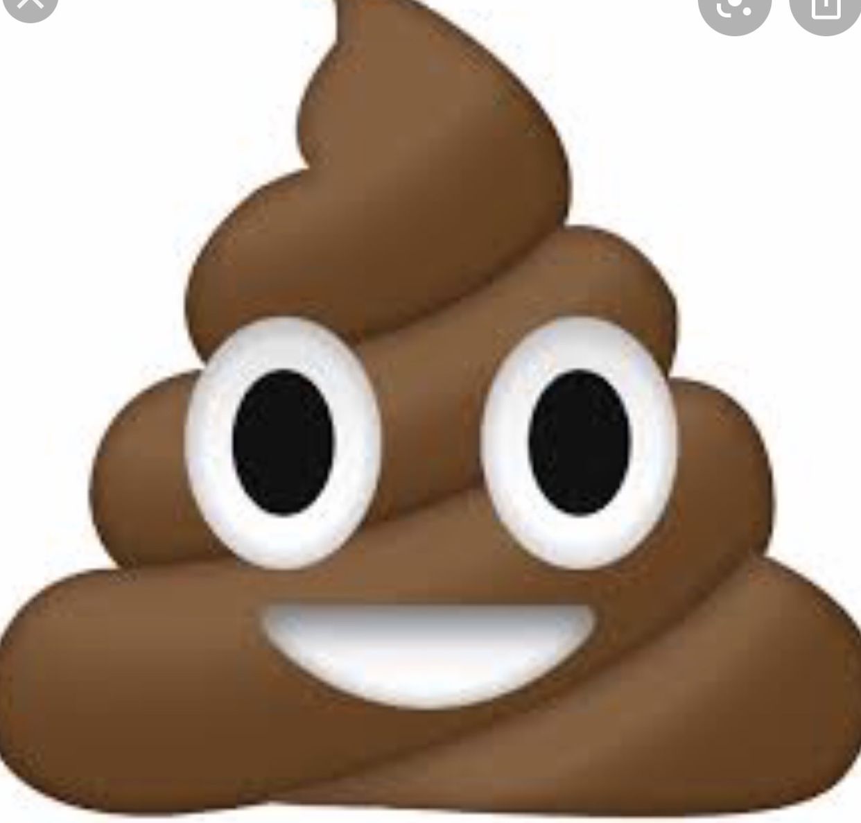FREE Horse Manure