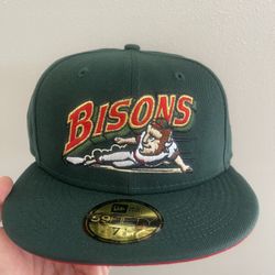 Buffalo Bison New Era