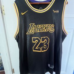 LeBron James Jersey (Mamba Edition) 