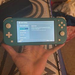 Nintendo Switch Lite