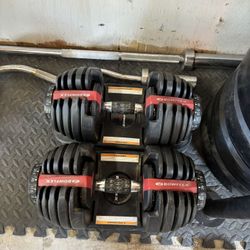 Bumper Plates  Bowflex Dumbbells 